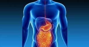 Gastroenterology & Hepatology